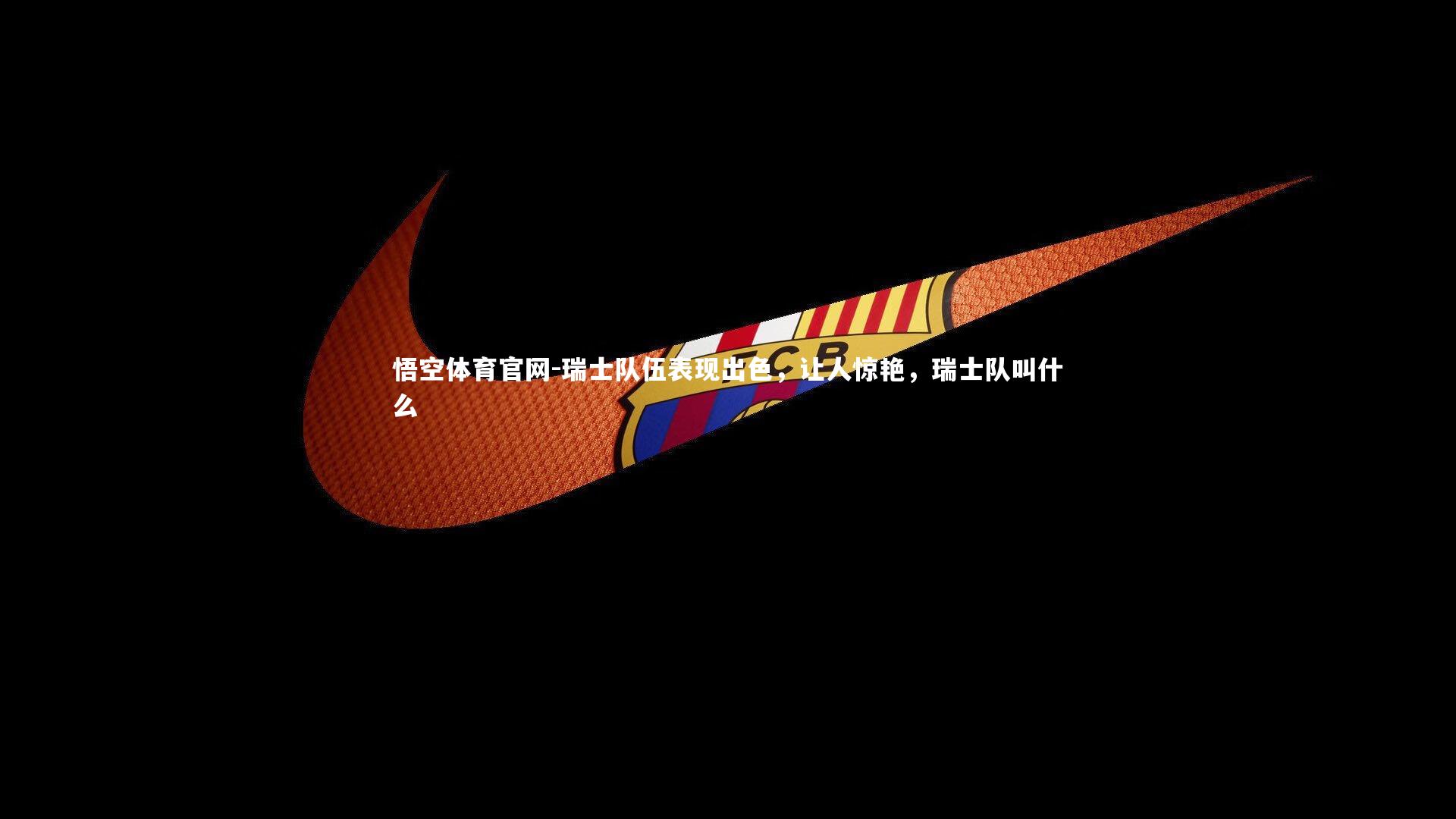 瑞士队伍表现出色，让人惊艳，瑞士队叫什么