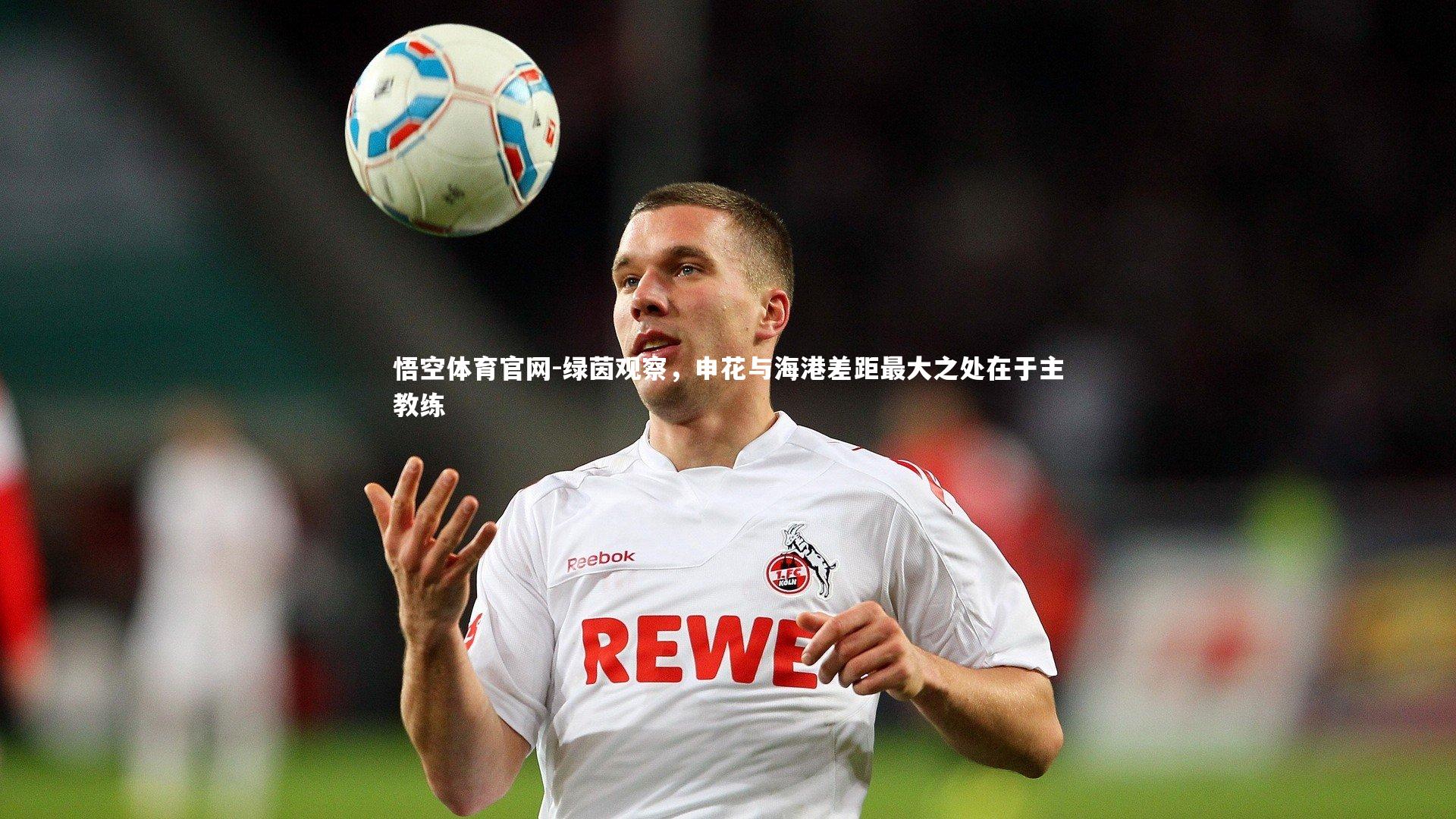 绿茵观察,申花与海港差距最大之处在于主教练